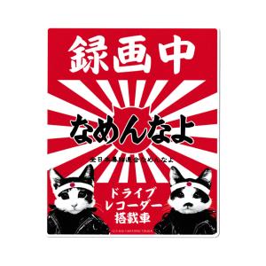 なめ猫 ステッカー かわいい レトロ 昭和 懐かしい 猫 グッズ 免許証02
