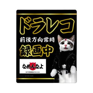 なめ猫 ステッカー かわいい レトロ 昭和 懐かしい 猫 グッズ 免許証05