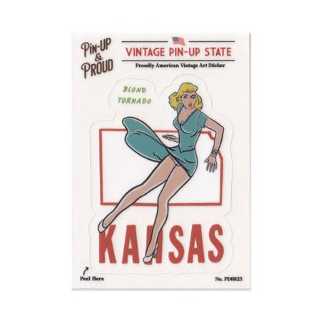 ピンナップガール ステッカー セクシー アメリカン レトロ ビンテージ おしゃれ 車 バイク スマホ...