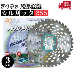 シンゲン めちゃかる スーパー林童 255×40P 1枚組 : プランハーベ