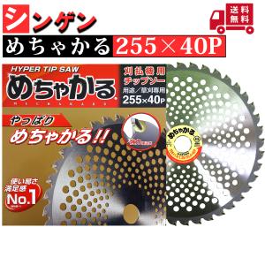 シンゲン めちゃかる スーパー林童 255×40P 1枚組 : プランハーベ