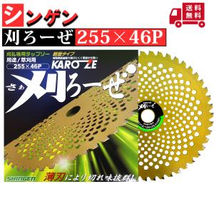 シンゲン めちゃかる スーパー林童 230×36P 10枚組 : プランハーベ