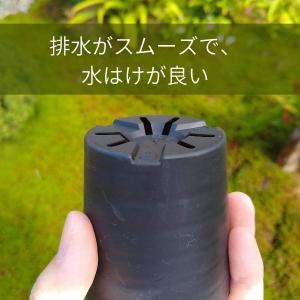 【プラ鉢】2.5号 プラスチック鉢 1個(白・...の詳細画像1