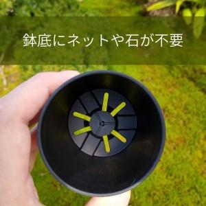 【プラ鉢】2.5号 プラスチック鉢 1個(白・...の詳細画像2