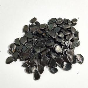 【種子】アガベ・ポタトルム 20s Agave potatorum