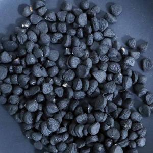 種子】ボスウェリア・アスプレニフォリア × ナナ 3s Boswellia