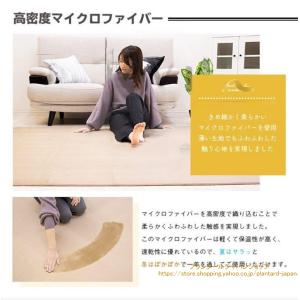 ラグ カーペット ラグマット 洗える 2畳 1...の詳細画像1