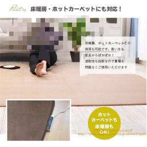 ラグ カーペット ラグマット 洗える 2畳 1...の詳細画像3