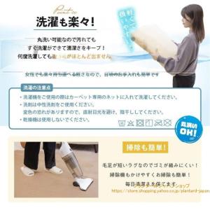 ラグ カーペット ラグマット 洗える 2畳 1...の詳細画像4