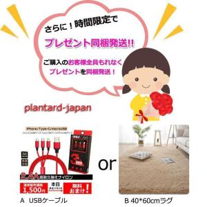 北欧 絨毯 ラグ カーペット 厚手 防音 40...の詳細画像5