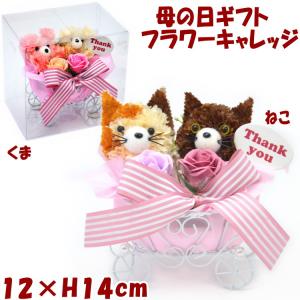 母の日 フラワーキャリッジ カーネーション 薔薇...の商品画像