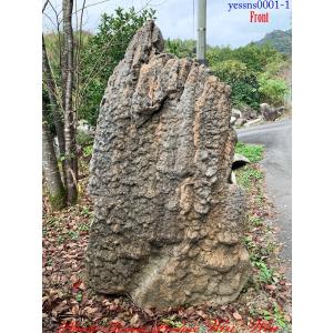 2019年 庭石 鍾乳石(ショウニュウセキ)No5 : PLANT・BONSAI・Produce