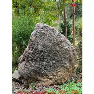 2019年 庭石 鍾乳石(ショウニュウセキ)No5 : PLANT・BONSAI・Produce