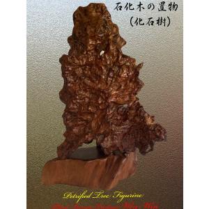 2020年 屋久杉 シンプルデザインの火鉢 No1 : PLANT・BONSAI・Produce