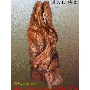 2020年 屋久杉 シンプルデザインの火鉢 No1 : PLANT・BONSAI・Produce