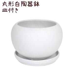 丸形 白陶器鉢 皿付き【植木鉢 白 ホワイト お...の商品画像