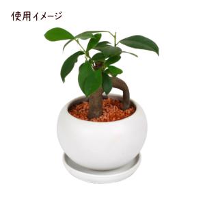丸形 白陶器鉢 皿付き【植木鉢 白 ホワイト ...の詳細画像1