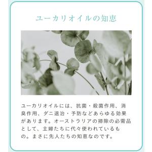 フェール FER ユーカロール 畳用クリーナー...の詳細画像3