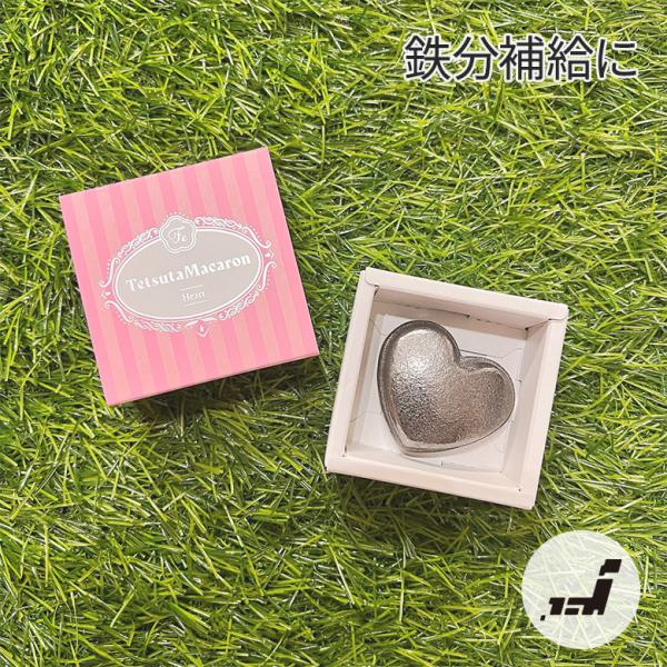 池永鉄工 テツタマカロン 鉄玉子 鉄玉 鉄分補給 健康 南部鉄 日本製 かわいい おしゃれ プレゼン...