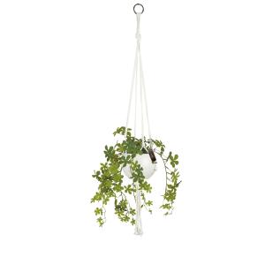 人工観葉植物 キシマ エクリア 消臭アーティフィ...の商品画像