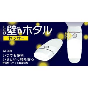 LED ライト センサー 防災グッズ 懐中電灯 間接照明  コンセント式 屋内用 LED壁ホタルセンサー 非常灯 廊下 玄関 トイレ 寝室 AL-300  対策 照明 ムサシ RITEX