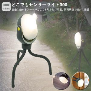 RITEX LED センサー ライト 屋外 8W×2灯式 コンセント式 防犯カメラ
