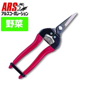 アルス 300S-BP 摘果鋏S・ショートタイプ 175mm 爆買