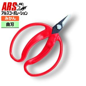 10丁迄メール便￥300可) 近正 みかん鋏 M-100 チカマサ (10丁迄