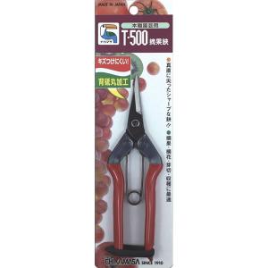 近正 チカマサ バネ 極小 パック2個入 T-550、550S、T-570用 : もの