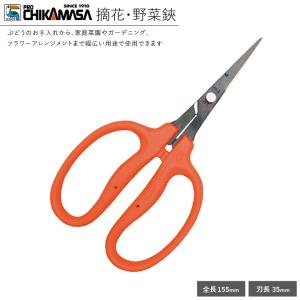 チカマサ B-500H 摘花鋏 野菜鋏 近正 ぶどう鋏 摘粒 摘房 房作り 収穫用 軽量はさみ 日本製 爆買