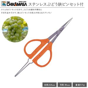 ぶどう ハサミ ぶどう鋏 ピンセット付 ステンレス 摘粒 収穫 近正 チカマサ ぶどう狩り 房作り 間引き 摘果 B-300SP ブリスターバック入り 爆買