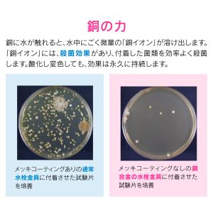 ガオナ GAONA これカモ GA-PB078...の詳細画像2