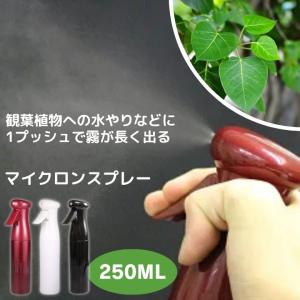 マルハチ産業 マイクロンスプレー 超微粒ミスト ワインレッド 250ml 佐川