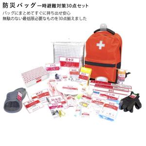 山善（YAMAZEN） 防災グッズ 防災バッグ 13点セット (ボディバッグ