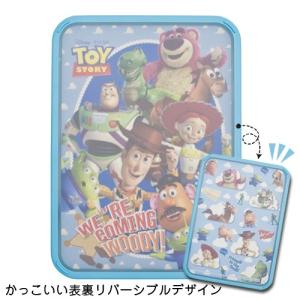 Daloplast ダロプラスト カッティングボード Mサイズ まな板 薄型 エコ