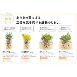 キシマ ファミーユ 消臭アーティフィシャルグリ...の詳細画像3