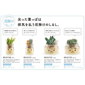 キシマ ファミーユ 消臭アーティフィシャルグリ...の詳細画像4