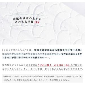 ひとりで塗れるもん 22kg 簡単 壁材 自分...の詳細画像2