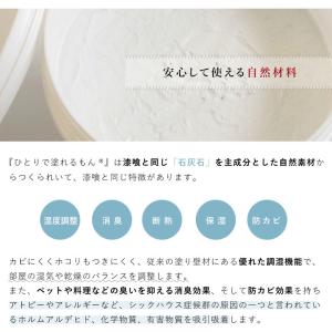 ひとりで塗れるもん 22kg 簡単 壁材 自分...の詳細画像3