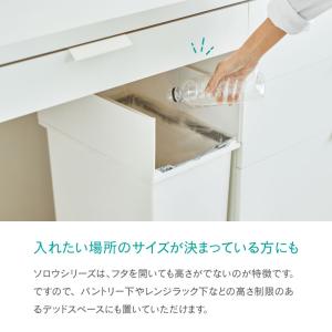 【購入特典 分別シール付き】ゴミ箱 45L 3...の詳細画像4
