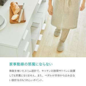 【購入特典 分別シール付き】ゴミ箱 45L 3...の詳細画像5