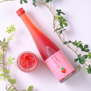 あまおう梅酒 あまおうはじめました 500ml リキュール 梅酒 あまおう はじめました。