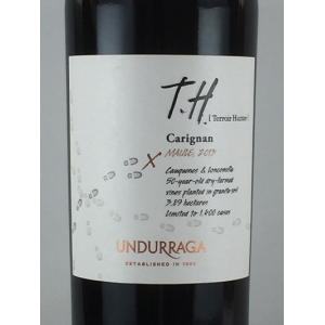 赤ワイン テロワール ハンター カリニャン マウレ 2013 チリワイン 750ml