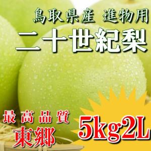 二十世紀梨 20世紀梨 鳥取県 東郷 赤秀 5k...の商品画像