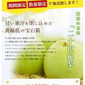二十世紀梨 20世紀梨 鳥取県 東郷 赤秀 5...の詳細画像2