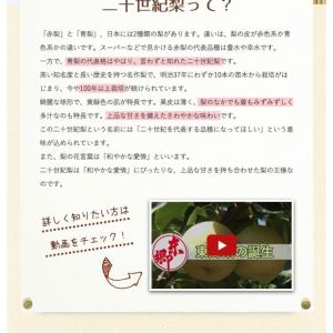 二十世紀梨 20世紀梨 鳥取県 東郷 赤秀 5...の詳細画像3