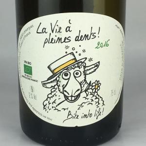 白ワイン オーガニックワイン ラ ヴィ ア プレンヌ ダン 2016 フランス 750ml｜plat-sake