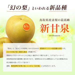 梨 新甘泉 しんかんせん 鳥取県 東郷 秀品 ...の詳細画像1