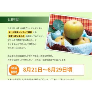 梨 新甘泉 しんかんせん 鳥取県 東郷 秀品 ...の詳細画像3