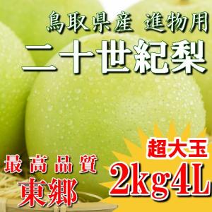 梨 新甘泉 しんかんせん 鳥取県 東郷 秀品 5kg 3L(14玉） 送料無料